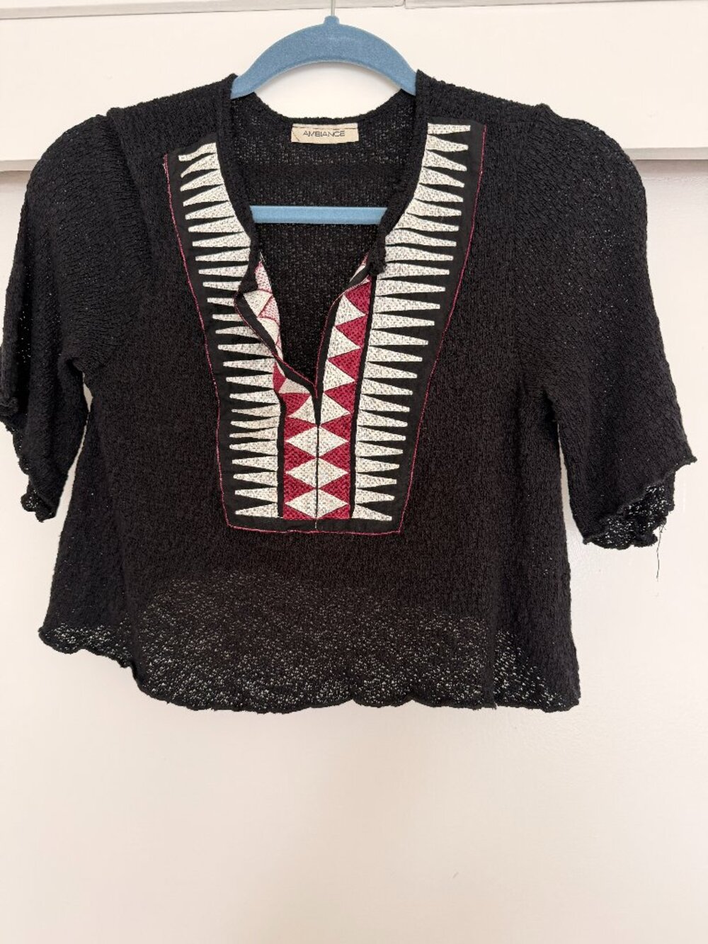 Semi Sheer Embroidered Boho Crop Top in black